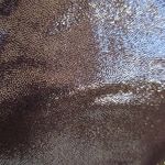 NWT Lululemon Align High Photo 1