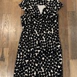 Ann Taylor  Black White Polka Dot Vneck Dress Size 6 Photo 1