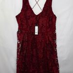 Romeo + Juliet Couture Dress Photo 2