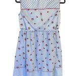American Vintage Vintage 50s Baby Blue Gingham Sweet Strawberry Cottagecore Retro Feminine Dress Photo 0
