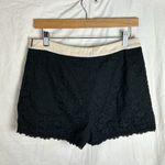Alice Moon High Waisted Black Lace Shorts Size Large Photo 4