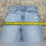 American Eagle Strigid Curvy Mom Jeans Size 6 Photo 2