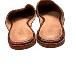 Madewell The Emilia Mule in Snake Embossed Leather, Sz 8 Photo 9