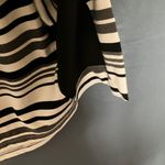 CAbi : Black & White Striped Pencil Skirt- S Photo 14