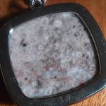 Ocean Fossil Jasper Inlay Frame Silvertone Pendant Stainless Steel Necklace Photo 4