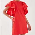 Love Bonito coral red ruffle sleeve holiday mini shift dress size US 2 Photo 0