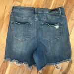 Risen  Jean Short Denim Shorts 2X Photo 1