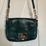 Cole Haan  Green Snakeskin Embossed Leather Bag Photo 0