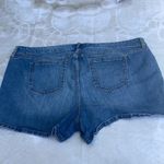 Torrid  Medium Wash High Rise Denim Shorts Photo 6