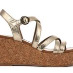 blowfish New aurora Malibu Photo 1