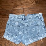 PacSun Shorts Photo 2