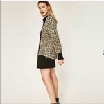 ZARA Animal Print Button Lapel Bow Blouse Photo 1