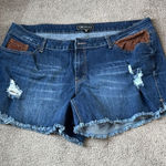 Cato  Contemporary Denim Shorts SIZE 22W Photo 0