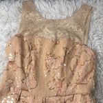 Anthropologie  Eva Franco Sugarberry Pink Sequin Lace Mini Dress size 2 N… Photo 7
