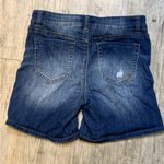 Indigo Rein  shorts Photo 3