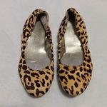 Audrey Brooke  "Lydia" Leopard Print Calf Hair Ballet Flats Photo 3
