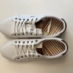 Taos Star Burst Canvas Lace Photo 3