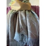 Descours Paris Silky Fringe Scarf Wrap Ombre Green Beige Made in France Photo 5
