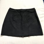 Naked Zebra Black Faux Suede Mini Skirt Photo 1