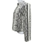 BB Dakota Anthropologie Women's Snake It or Break It Vegan Moto Jacket Size L Photo 2