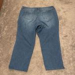 Terra & Sky  Straight Leg Jeans SIZE 24WP Photo 2