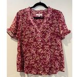 Stitch Fix NEW Beacon Apparel Top Womens Medium Pink Flutter Short Sleeve  Work Photo 0