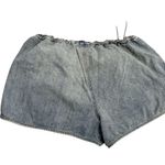 Urban Outfitters  Shorts BDG Photo 1