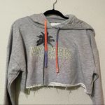 Ivy Park  Grey Cropped Logo Front Hoodie Sweatshirt XXS Photo 7