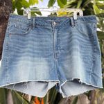 Old Navy Women's Denim High Rise OG Curvy Shorts Photo 0