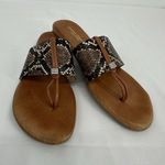 Andre Assous Nice Flip Photo 0