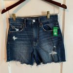 Gap Love Shack Fancy Women's Ruffle Purple Floral Short Sleeve Mini Dress Size XS Photo 1