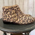 Latigo  Passion Suede Leopard Booties Photo 4