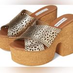 Steve Madden  Saffron Platform Sandals Photo 1