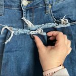 Articles of Society Articles Of Society Carly Crop Skinny Jeans Photo 6