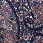 Lucky Brand Dress Womens Small Blue Red Paisley Print Midi Bohemian Festival Photo 4