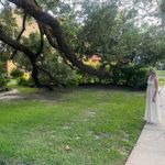 Boutique Dress White Photo 4