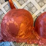 Daisy Fuentes Women’s Bra Photo 0