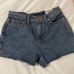 PINK - Victoria's Secret Denim Shorts Photo 0