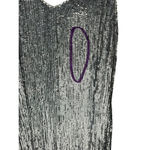 Retrofete Rebecca Grey Velvet Trimmed Sequined Chiffon Dress Silver Size XS Photo 6