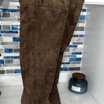 Charlotte Russe Suede  Boots Thigh-High Photo 0