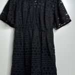 Eloquii Black Embroidered Fit & Flare Dress Size 20 Photo 2