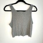 Aritzia Sunday Best Daisy Cropped Tank Gray Size M Photo 1