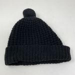 Everlane Wool Chunky Knit Stretch Pom Pom Warm Beanie Photo 0