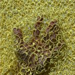 Yellow Swirl Crochet Knit Mesh Long Sleeve Top Size XL Photo 2
