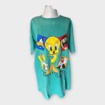 Looney Tunes Vintage 90s Tweety & Co Oversized Sleep Shirt One Size Turquoise Photo 4
