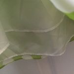 Alex Marie FINAL MARKDOWN Ladies’ NWT  Pear/Ivory Summer Dress (10 Photo 14