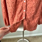 Roller Rabbit  Eyelet Blouse Top in Terra Photo 6