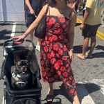 Mango  Set Two-Piece Photo 1