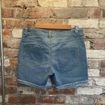 D. Jeans  Women's Light Blue Jean Shorts Size 10 Photo 3