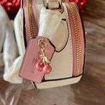 Coach  Heart Crossbody In Signature Canvas With Heart Cherry Print NEW Photo 12